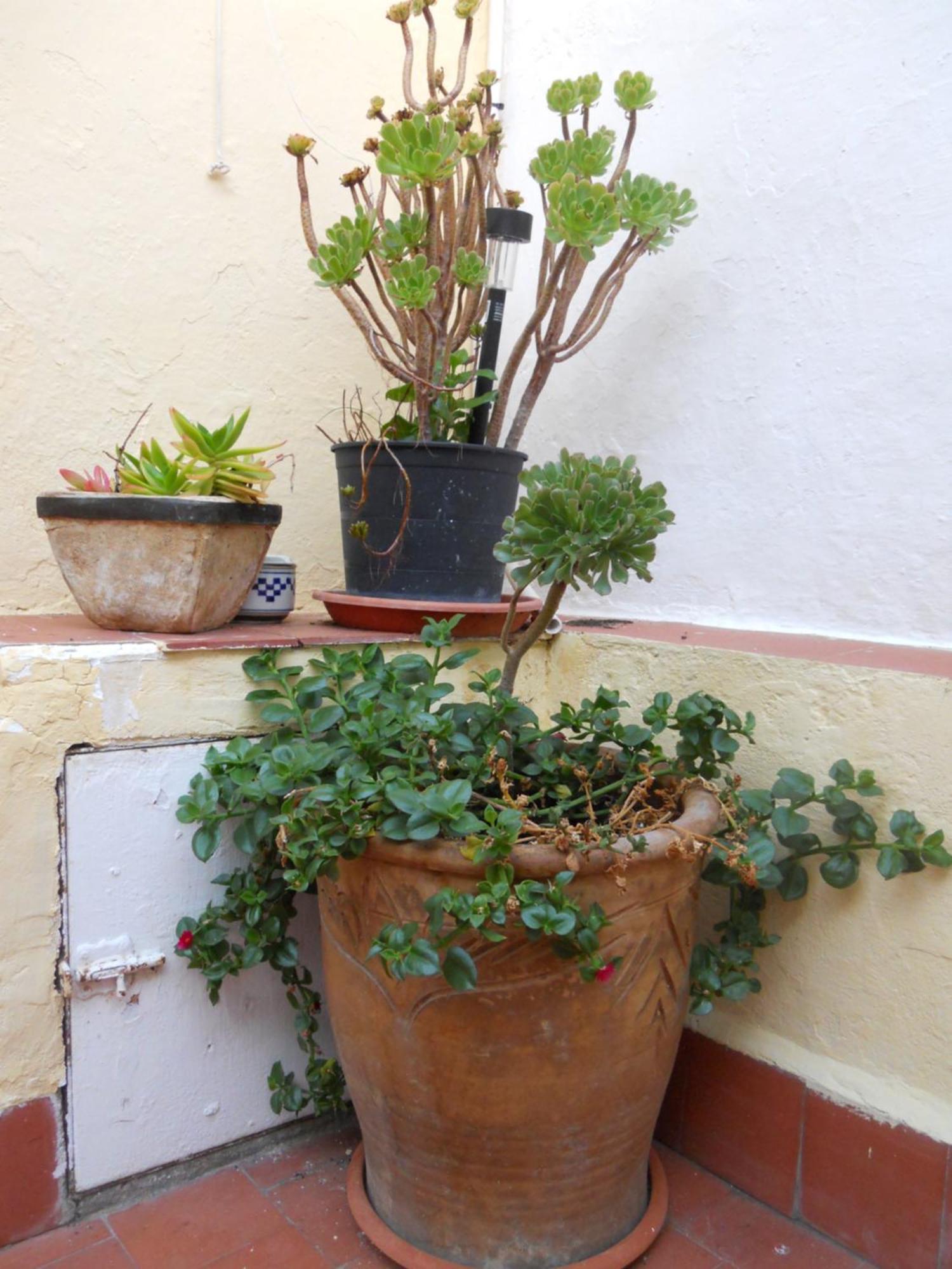 Naturalia: La Casita Con Patio Caces Extérieur photo